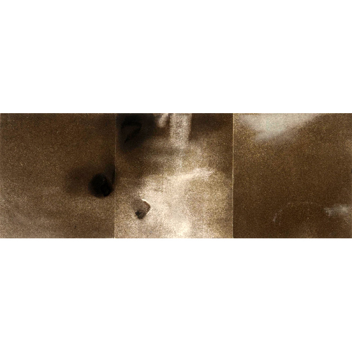 Meredith Rosier, Within